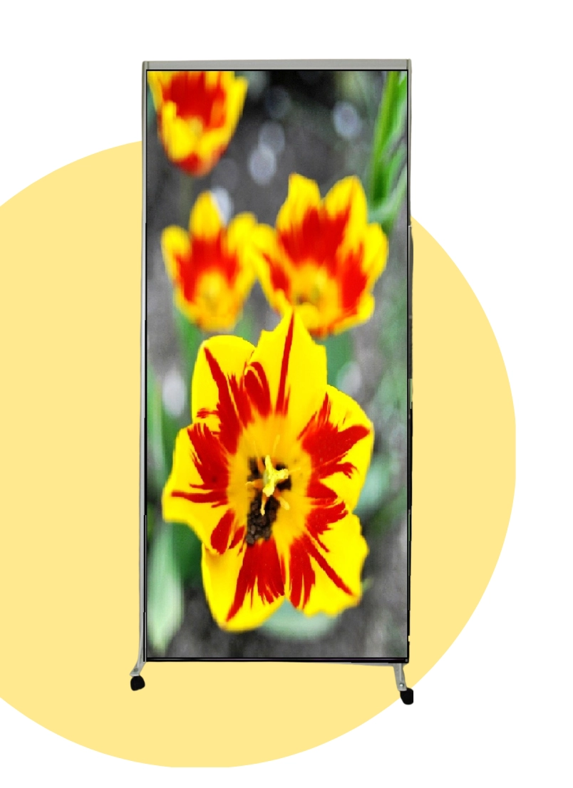 5 — kopia.png